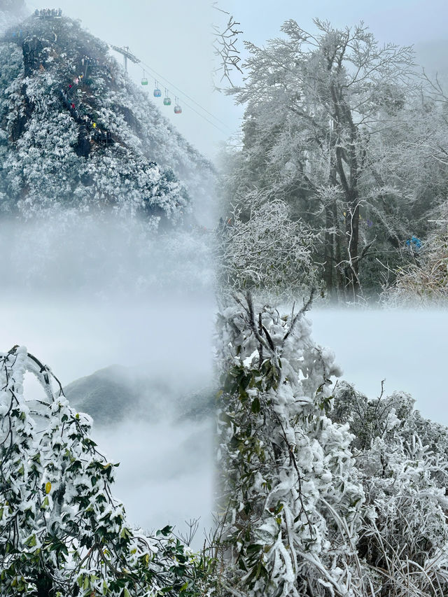 廣東也能看雪？這 6 個賞雪好去處快收好！