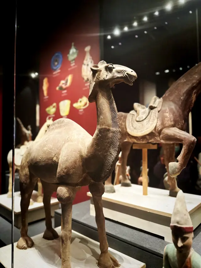 🇨🇳🐫Explore the Xinjiang Uyghur Museum!