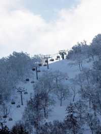 人生建議：冬天一定要去趟北海道❄️