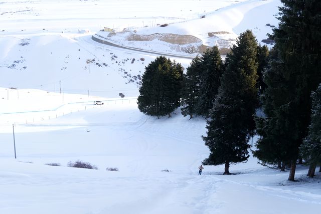 當南山遇上雪