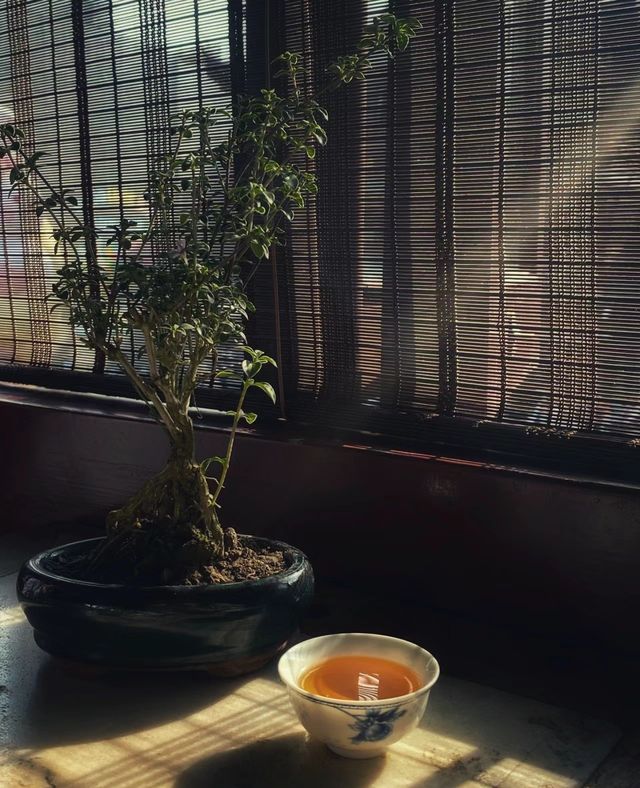 在上海百年茶樓品茶聽曲、閒度日月