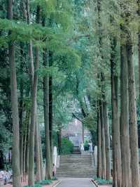 人生建議:在武漢一定要去一次的治癒森林