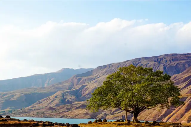 Yunnan Yuanmou Jinsha Lake|This place is incredibly beautiful!!