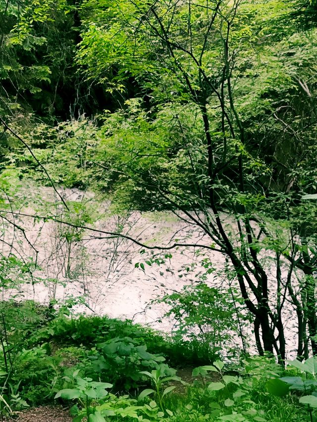 高山峻嶺中挺拔的一座雄峰，恰似一尊巨人手擎利劍直插雲霄