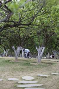 遛娃來了不止10次的公園非常適合騎行