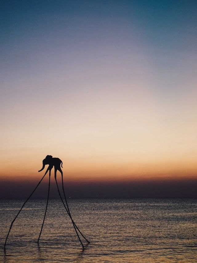 遇見一片橘子海