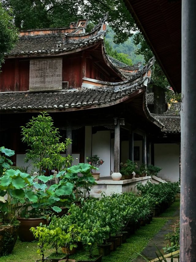 浙江旅遊｜適合歷史愛好者打卡的隋代古剎－國清寺