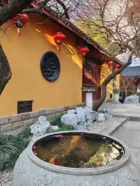 湖州鐵佛寺 | 江南最有靈性的梅花盛開