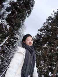 冬日的快樂怎麼能少得了看雪