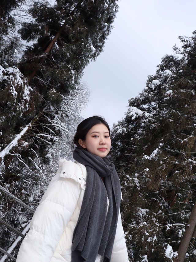 冬日的快樂怎麼能少得了看雪