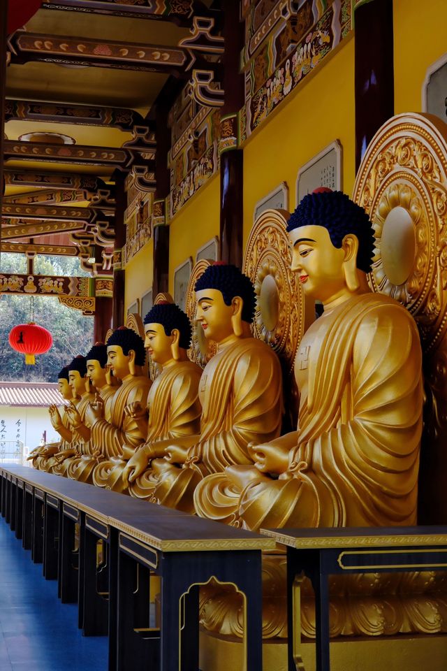 去不了拉薩，就來宜興佛光祖庭大覺寺吧