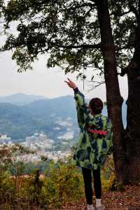 |||打卡銀湖山郊野徑，市區地鐵直達徒步好去處