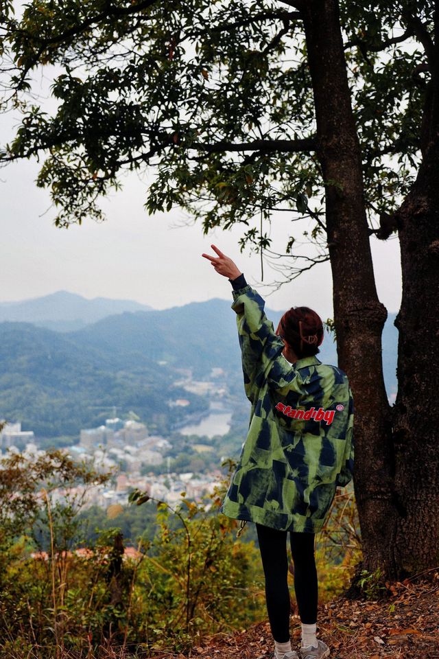|||打卡銀湖山郊野徑，市區地鐵直達徒步好去處