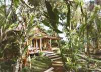 Bali's Canopy Retreat