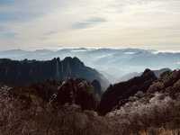 帶父母的四天三夜不勞累之旅