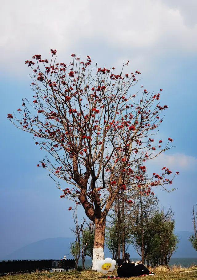 Cycling through Dali's ecological corridor
