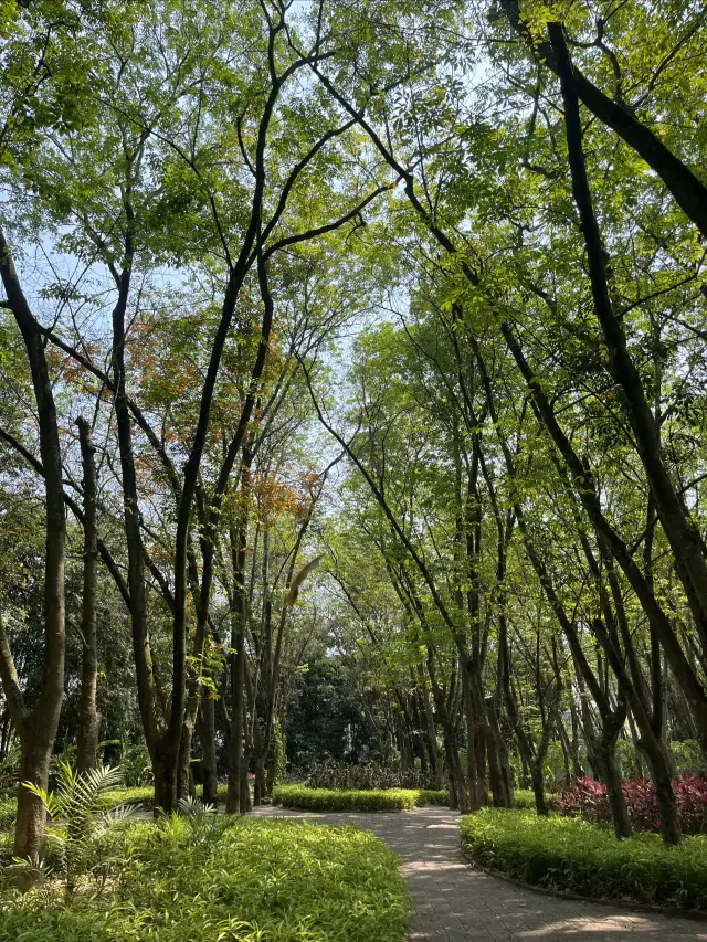 熱帶花卉園