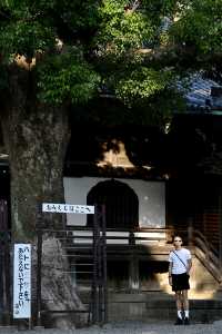 日本古風之旅  漫步葛饰柴又古風情街