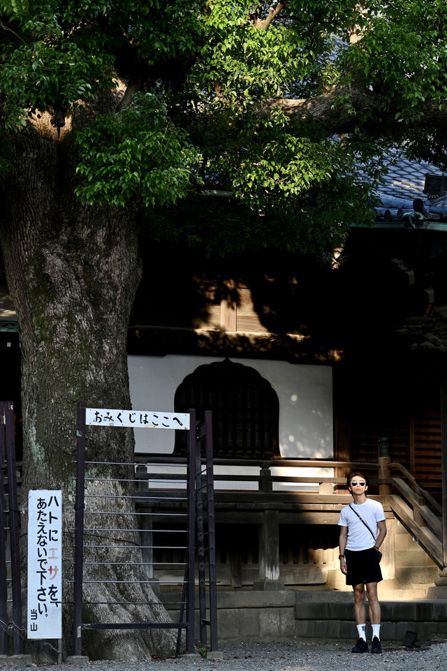 日本古風之旅  漫步葛饰柴又古風情街