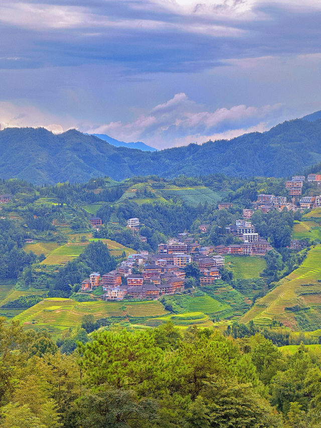 在龍脊梯田，選一個落地窗住進風景裡