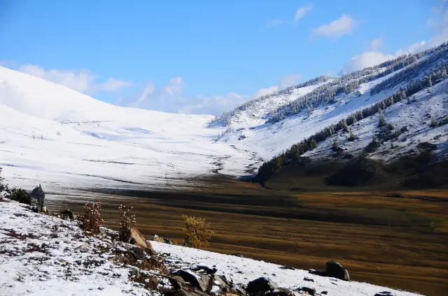 Xinjiang · Buerjin · Jiadengyu