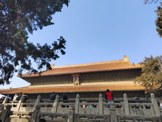 Qufu, the Temple of Confucius, and the Hall of Great Achievement - this Spring Festival, I finally collected all three great halls, a complete success!