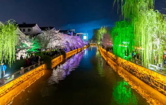 Moat Cherry Blossoms