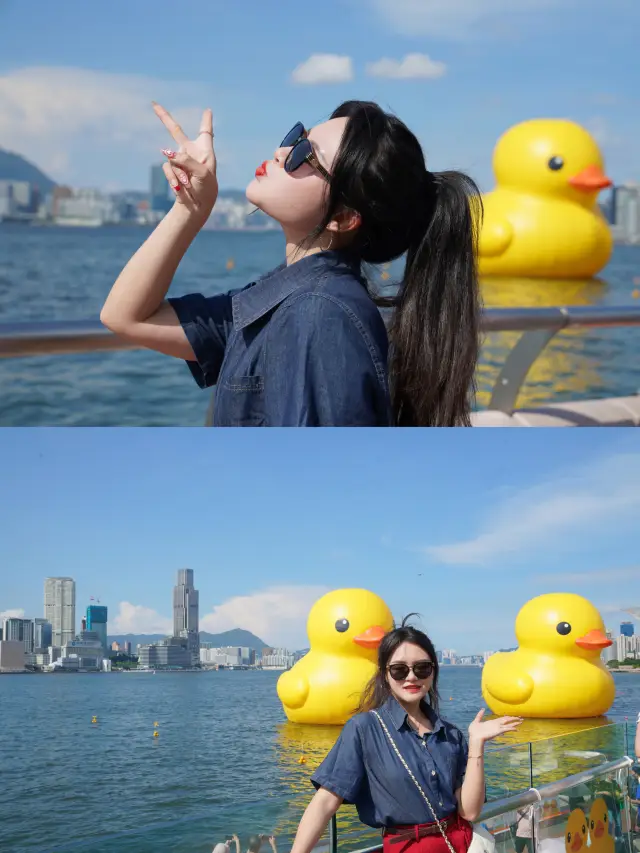 Hong Kong's New Exhibition | The giant Rubber Duck is swimming and frolicking in Victoria Harbour