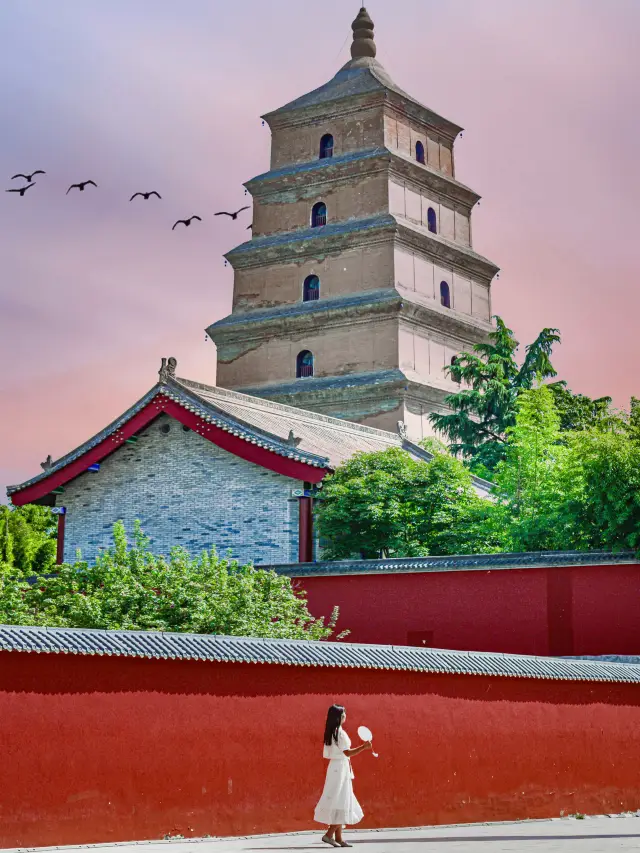 Xi'an! 5 Big Wild Goose Pagoda free photography spots are blowing up Moments!