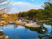 上海植物園‖新建景觀倒影