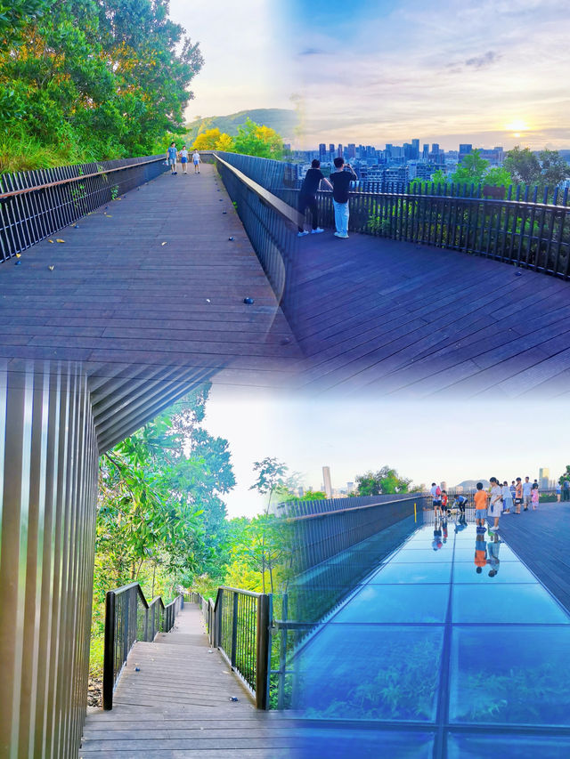 親子共度美好時光，盡在西麗生態公園