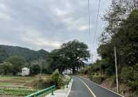 歷溪古村「戲水、喝茶、聽故事」