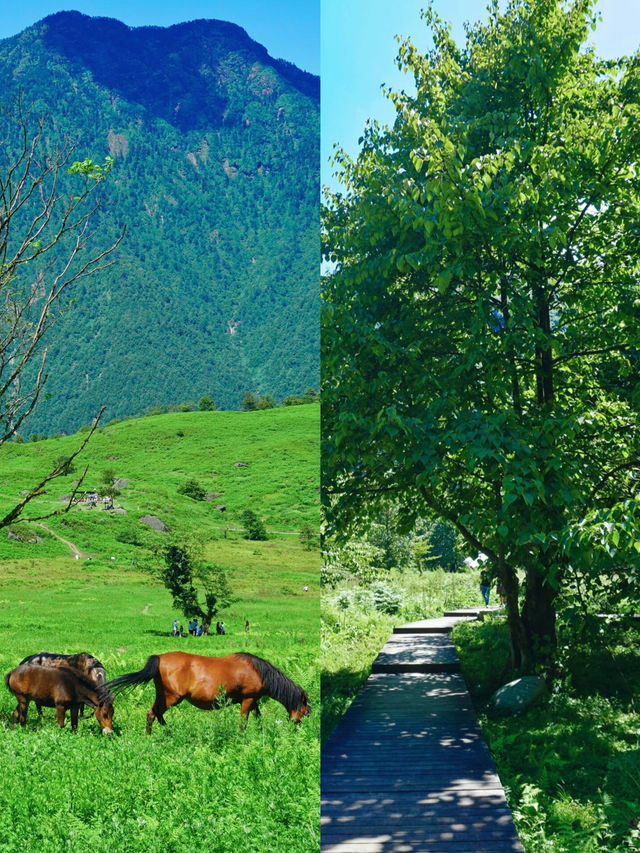 未經雕琢的美，這個高山上的秘境叫馬里冷舊