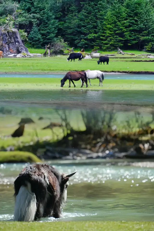 四姑娘山を天井だと思っていたが、ここを発見するまでだった