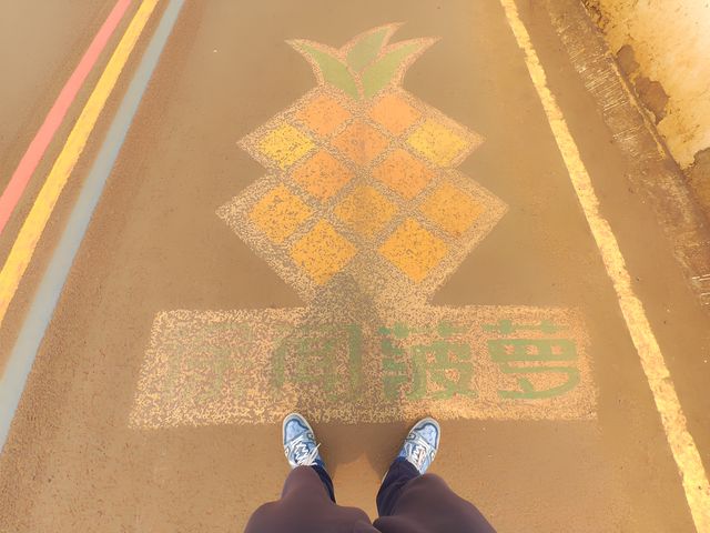 玩轉湛江｜菠蘿的海