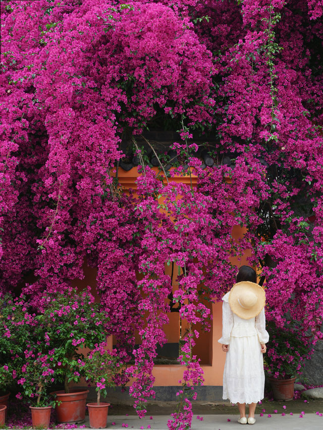 The ancient temple, surrounded by oleanders, on the outskirts of Chengdu remains undiscovered...