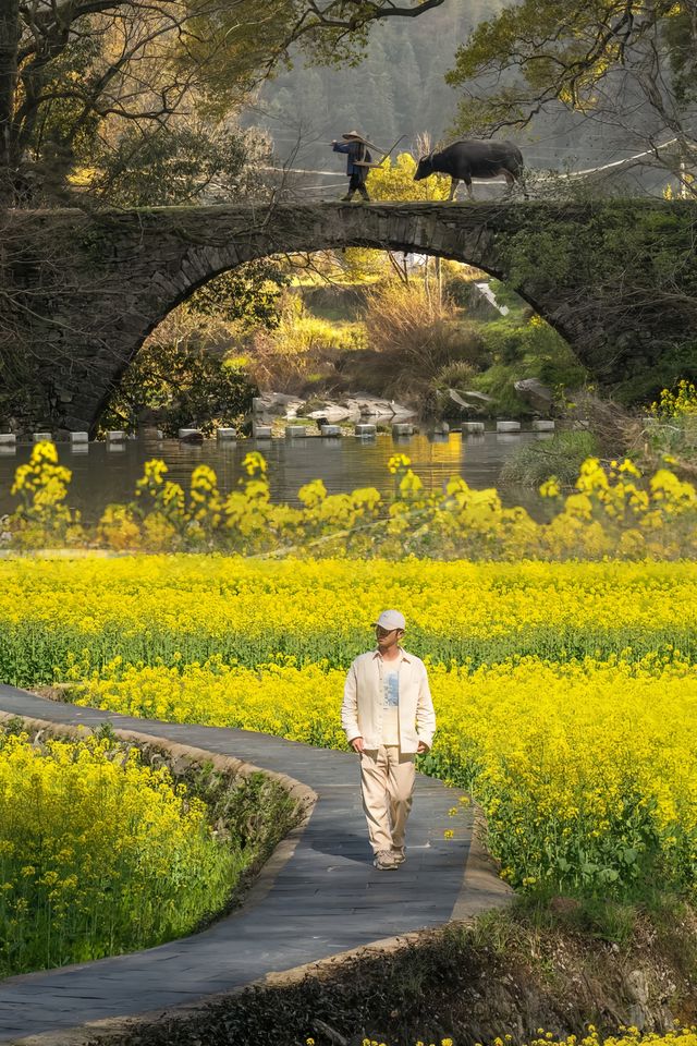 被《國家地理》評為‖最美鄉村的春天有多美～