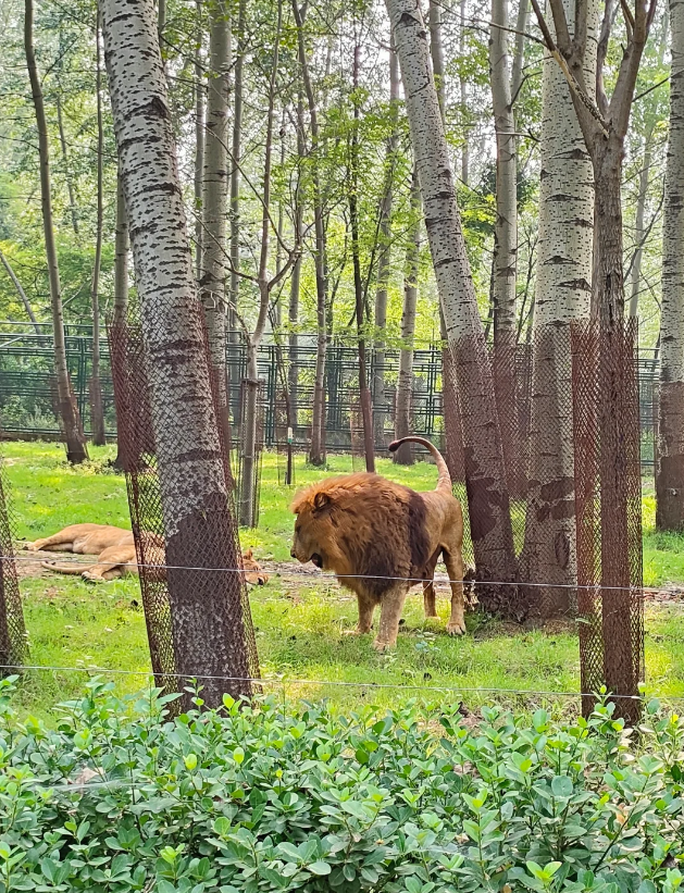 秦皇島野生動物園超全攻略~