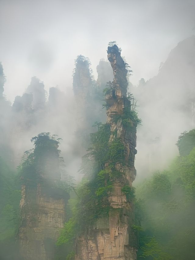 張家界遊記：天然之美的探索之旅