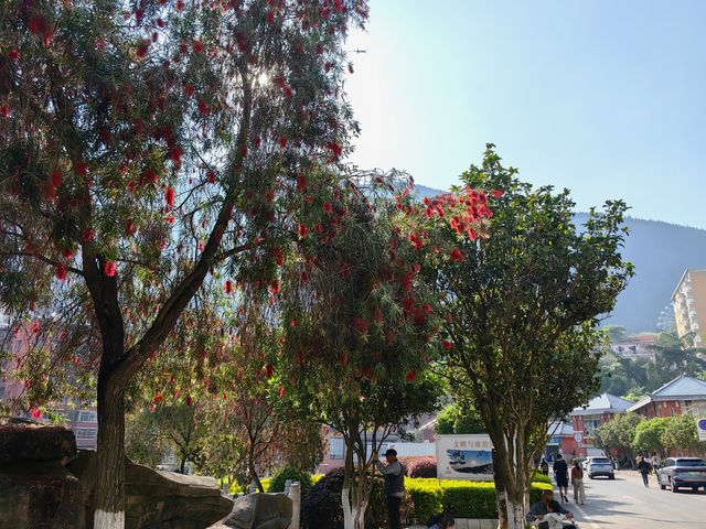 個舊市中心美麗的寶華公園