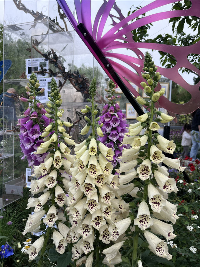 北京龍潭中湖公園——「您好，花園城市」