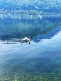 特勞恩湖畔格蒙登Gmunden