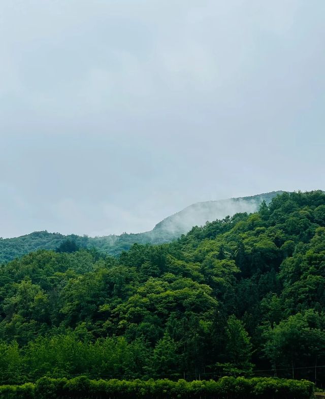 駱家壩，等你來探尋