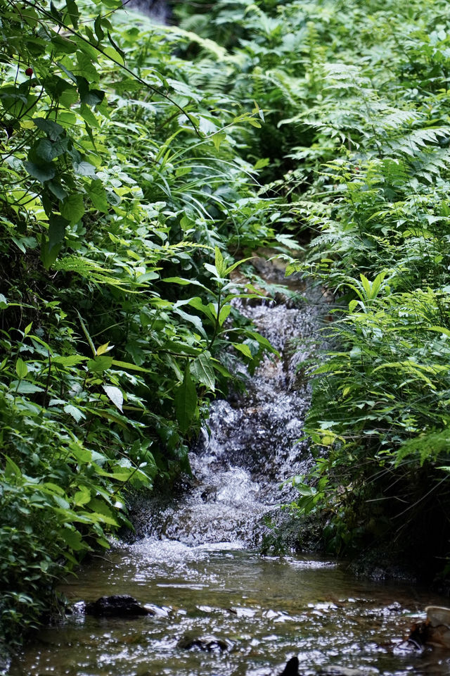 柳州融水 | 3H可達，找個週末去山裡放空