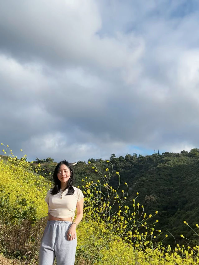 我在洛杉矶找到了風之谷｜Wildwood 遠足