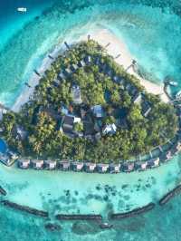 🌟 Maldives Magic: Luxe Stays at Taj Coral Reef! 🌊