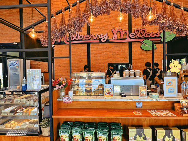 คาเฟ่สายธรรมชาติต้อง mulberry mellow