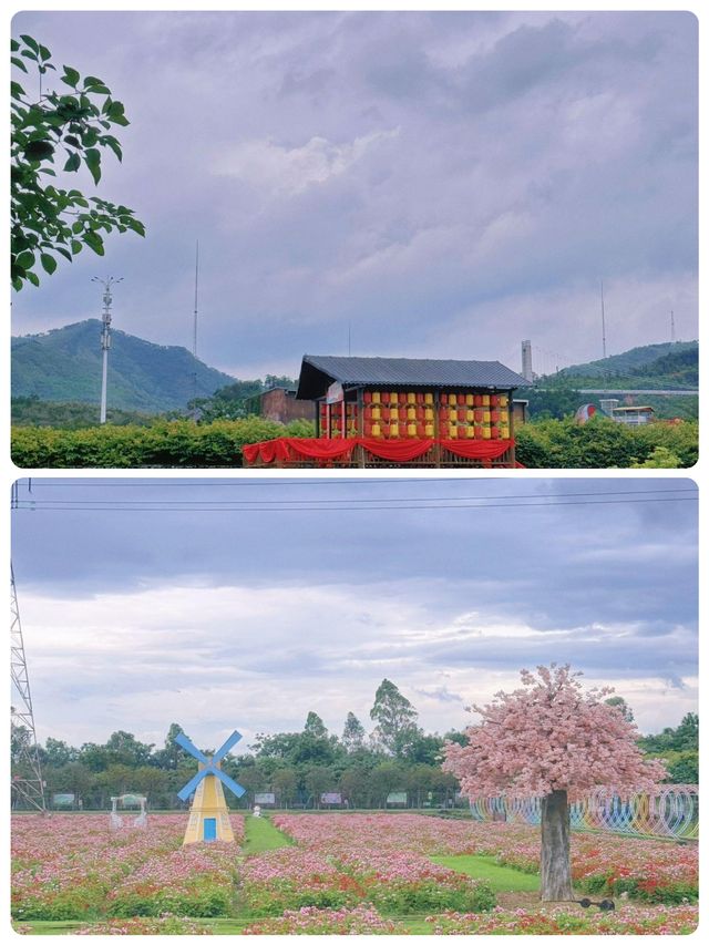 速來！！！夏日玩水全家總動員玩足一日