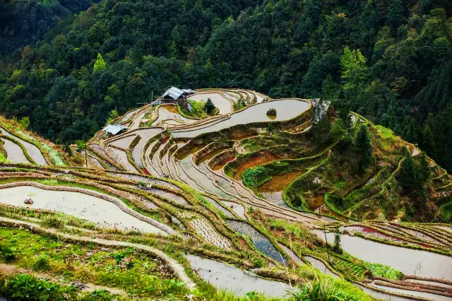 Explore Southeast Guizhou/ Take a closer look at China's finest terraced fields