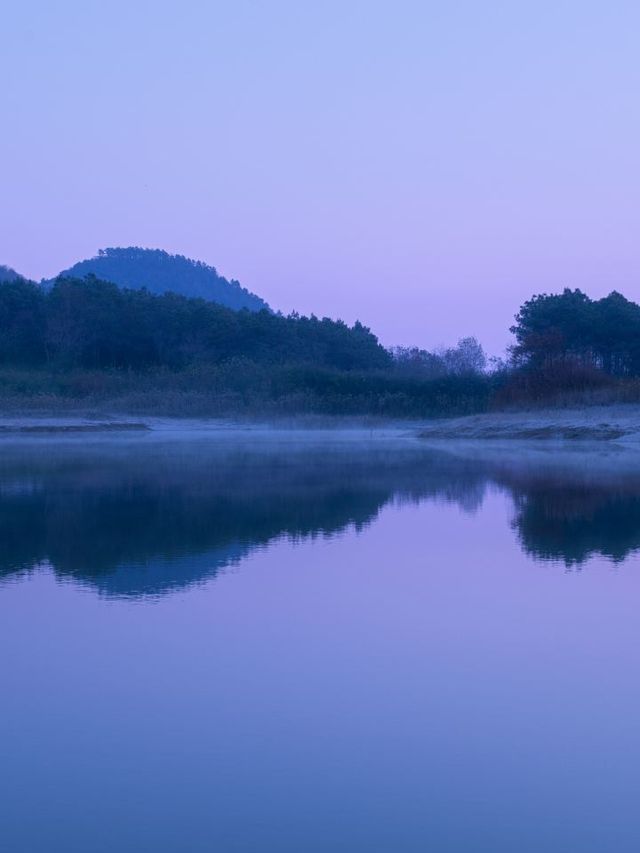 🌲🛌 Nanjing's Nature Retreat: Top Hotel Escapes 🏞️🍃